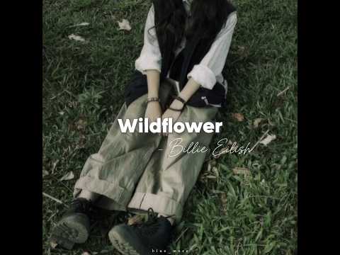 Wildflower Billie Eilish Slowed Reverb Lyrics Aesthetic Billieeilish Slowed Blue Mxse 