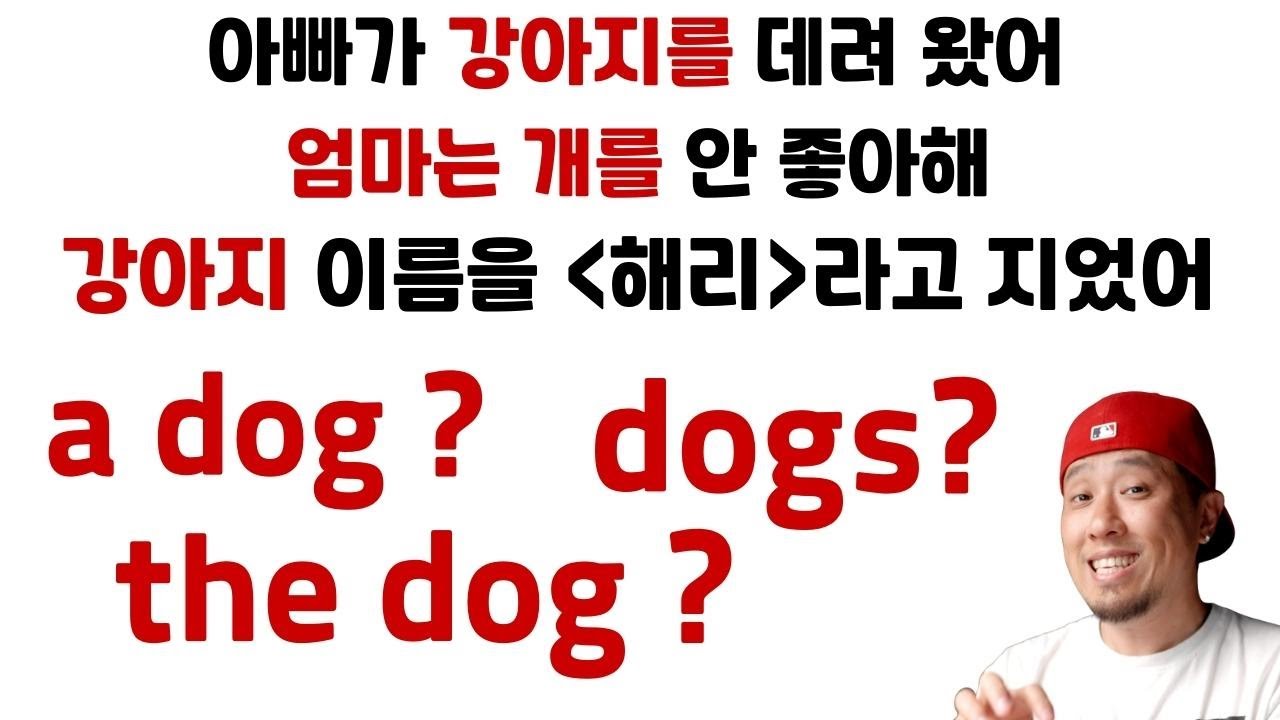 단수? 복수? the 붙여서?💡 영어 기본 문장 만들기