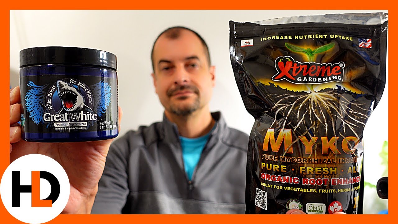 Secret to Bigger Yields: Mykos or Great White?