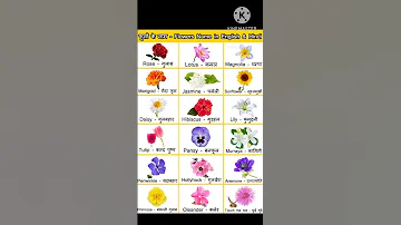 Flowers Name फ ल क न म Shorts Viral English Flowers Flowersname 