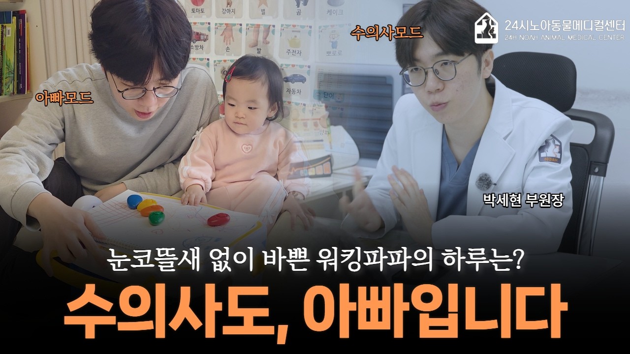 수의사 퇴근하자마자 아빠로 출근하는 '아빠는 수의사'