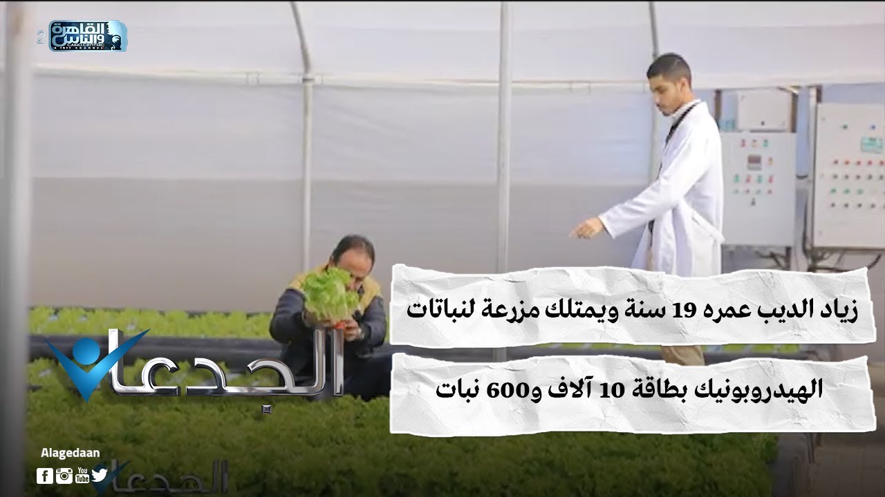 زياد الديب عمره ١٩ سنة ويمتلك مزرعة لنباتات الهيدروبونيك بطاقة ١٠ آلاف و٦٠٠ نبات