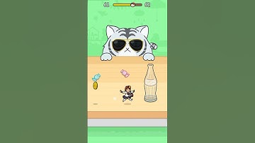 Hide and Seek: Cat Escape