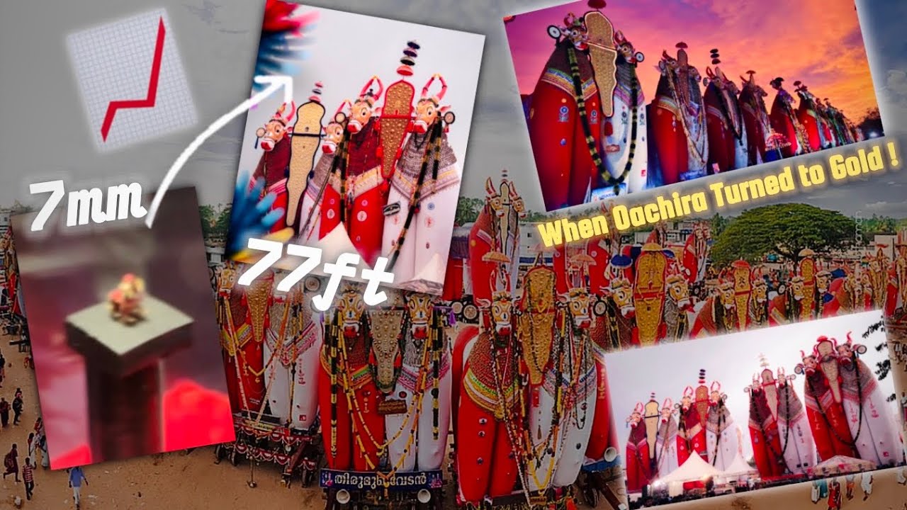 7mm മുതൽ 77 ft വരെ Hight🔥! 200ൽ അധികം കാളകൾ ! Day after 28-ാം ഓണം 2025🤙🏽