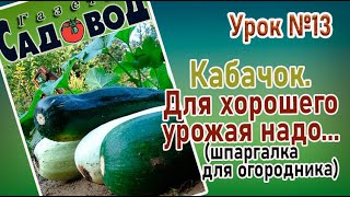 КАБАЧОК. Для хорошего урожая надо...    Урок №13