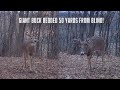 Giant bedded 50 yards from the blind late season hunting in wisconsin