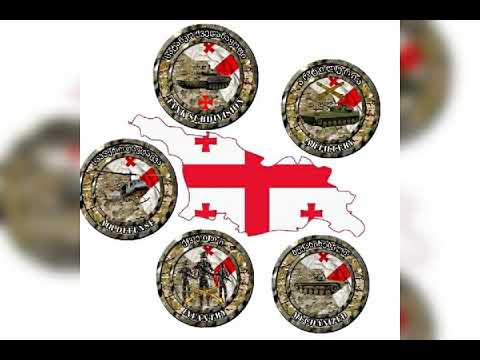 საქართველოსთვის