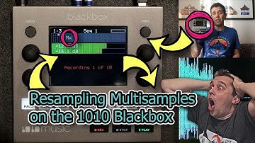How To Resample a Multisample on the 1010 Blackbox