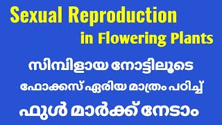 Sexual reproduction in flowering plants focus area class |Part 2| plustwo botany class | science mas