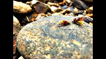 CÂU CÁ MƯƠNG SUỐI BẰNG MỒI FLY CỰC NHẠY CÁ.