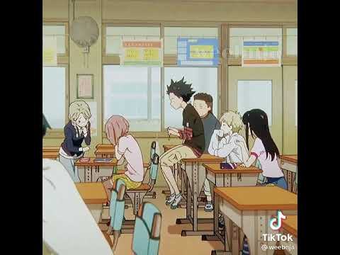 الصوت الصامت