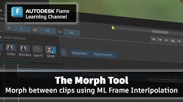 Machine Learning Morph - Flame 2025.2