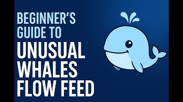 Beginner’s Guide to Unusual Whales Flow Feed — How to Set Up Filters & Read Option Flow Like a Pro