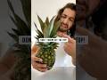 How To Grow Pineapples Using A Store Bought Pineapple Creative Explained 