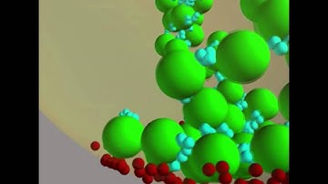 Synaptic Vesicle Cluster Formation Simulation