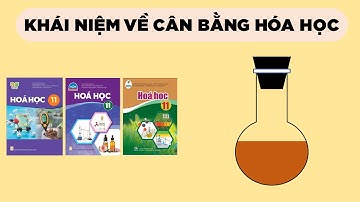 [HÓA 11] Khái Niệm Về Cân Bằng Hóa học (Sách Cánh Diều, Kết Nối Tri Thức, Chân Trời Sáng Tạo)