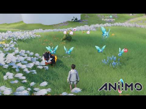 Catch an Iris | Chasing the Clouds | ANIIMO