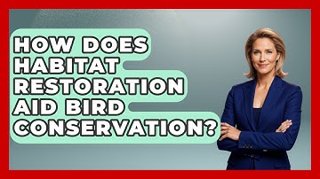 How Does Habitat Restoration Aid Bird Conservation? - Bird Watching Diaries
