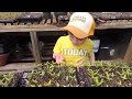 Happy Earth Day Planting With My Grandson