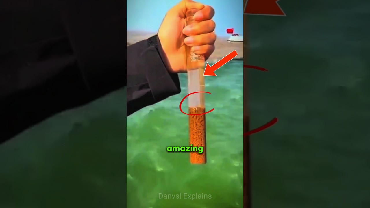 Gulf of Alaska never mix but why ❓