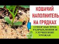 Кошачий наполнитель на грядках заметно улучшит урожай