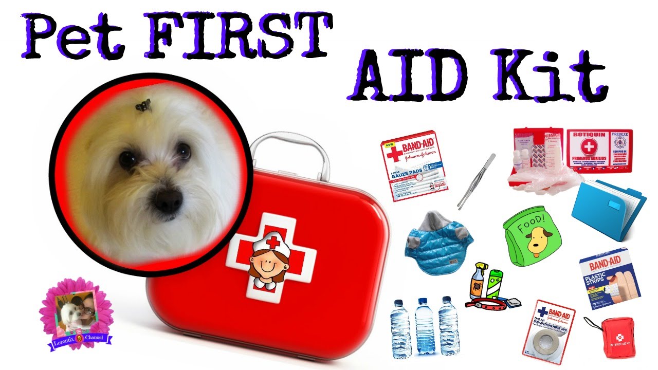 vet first aid kit