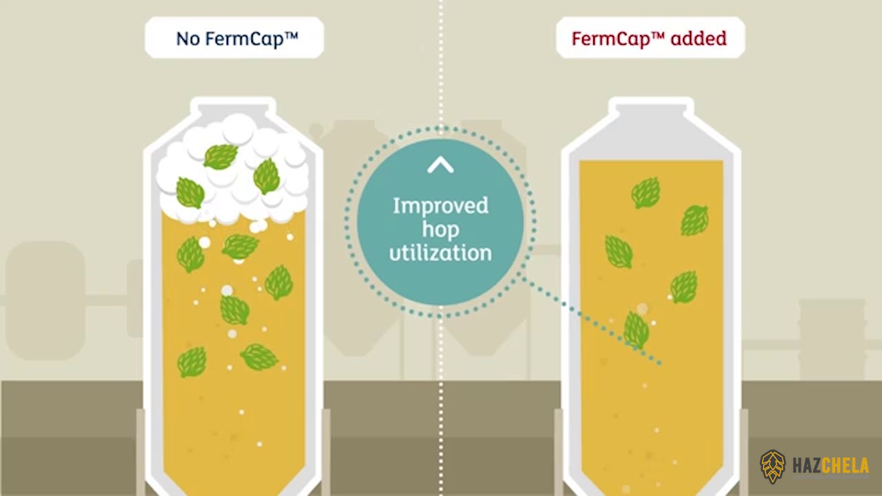 FERMCAP - YouTube