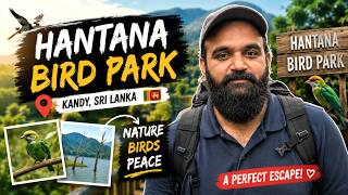 Exploring Hantana Bird Park Kandy 🇱🇰 | Sri Lanka’s Most Peaceful Escape