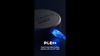 PoE only one cat cable