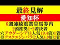 【愛知杯 最終見解 2026】6週連続重賞◎馬券内！本命は舐められすぎのアノ馬！！