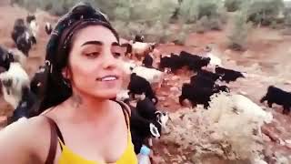 Çoban Zaza kızından harika Zazaca türkü Resimi