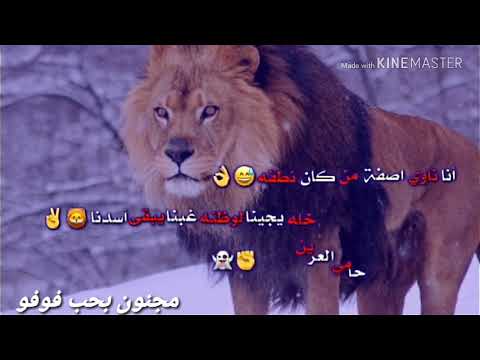 رافق اسود