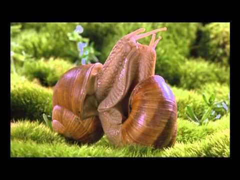 microcosmo il popolo dellerba microcosmo il popolo dellerba