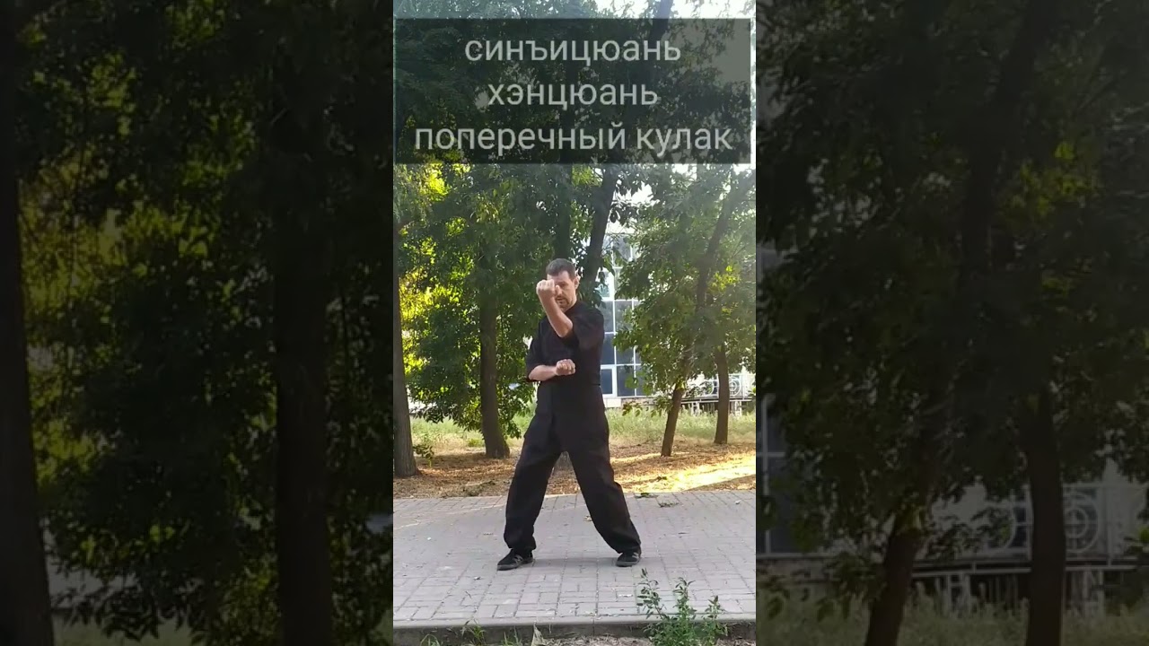 Синъицюань. Хэнцюань ( поперечный кулак) на месте #shorts