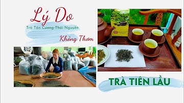 Lý Do Vì Sao Mua Chè Tân Cương Thái Nguyên Chuẩn Mà Vẫn Không Thơm - TRÀ TIÊN LẦU