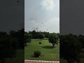 उड़ान |