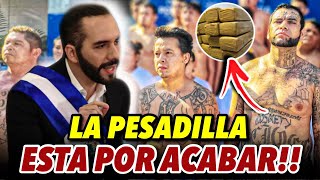 Video thumbnail of "UN LOGRO MAS! La pesadilla esta por acabarse 👊"