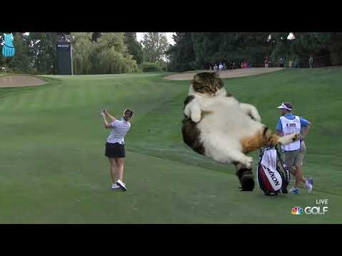she-has-not-been-good!-golf-shot-fail-compilation-2019-portland-classic-lpga-tournament
