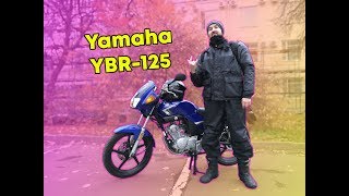 Yamaha YBR125  о легенде с юмором