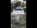 KTLA speaks with Simi Valley resident who was among first to report #SandyFire #breakingnews #fire