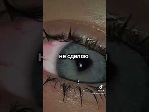 бэмби - ТНБМЛ