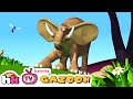 Best of Gazoon: S1 Ep 3 | David and Goliath | Funny Animals Cartoons | HooplaKidz TV