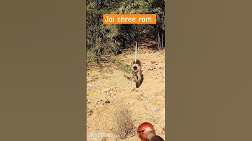 Hanuman ji videos #song #shot #monkey #shortsviral #shortfeed
