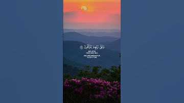 القارئ عبدالرحمن مسعد | تلاوة خاشعة مليئة بالجمال 🎧🫀 #اللهم_صل_وسلم_على_نبينا_محمد #لا_اله_الا_الله