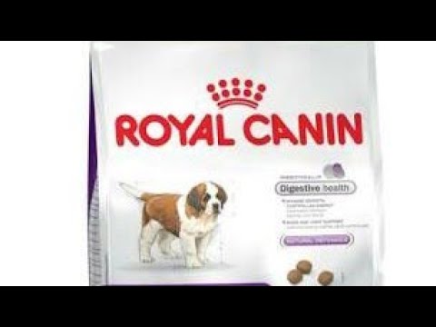 royal canin bully
