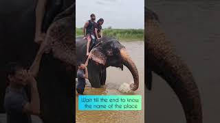 Experiencing Elephant Bathing In Nepal