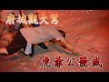 【府城觀大駕】神明坐鎮的「機動巡邏隊」！虎爺公發威！｜民俗大廟埕 ep.060