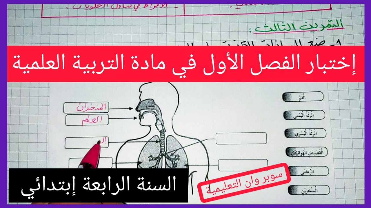 إختبار الفصل الأول في مادة التربية العلمية السنة الرابعة إبتدائي