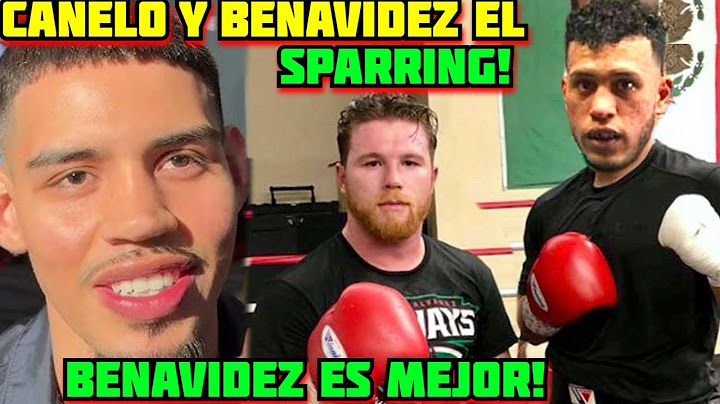 Quien es Mas Agresivo y Pega Mas Fuerte Canelo o David Benavidez sparring explica Diego Pacheco