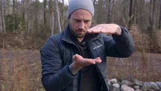 USA: The Great Dismal Swamp - BBC Travel Show
